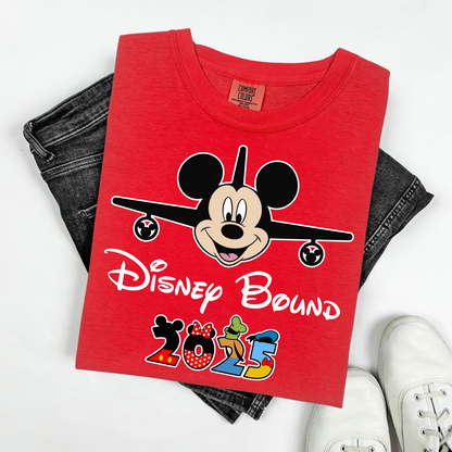 Disney Bound 2025,  Disney 2025 Shirt, 2025 Disney Tees, Disneyworld Shirts, Disney Trip Shirts, Disney Family Matching Shirt, Disney Vacation T-Shirt