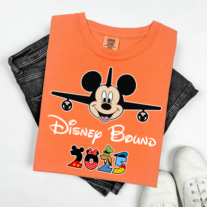 Disney Bound 2025,  Disney 2025 Shirt, 2025 Disney Tees, Disneyworld Shirts, Disney Trip Shirts, Disney Family Matching Shirt, Disney Vacation T-Shirt